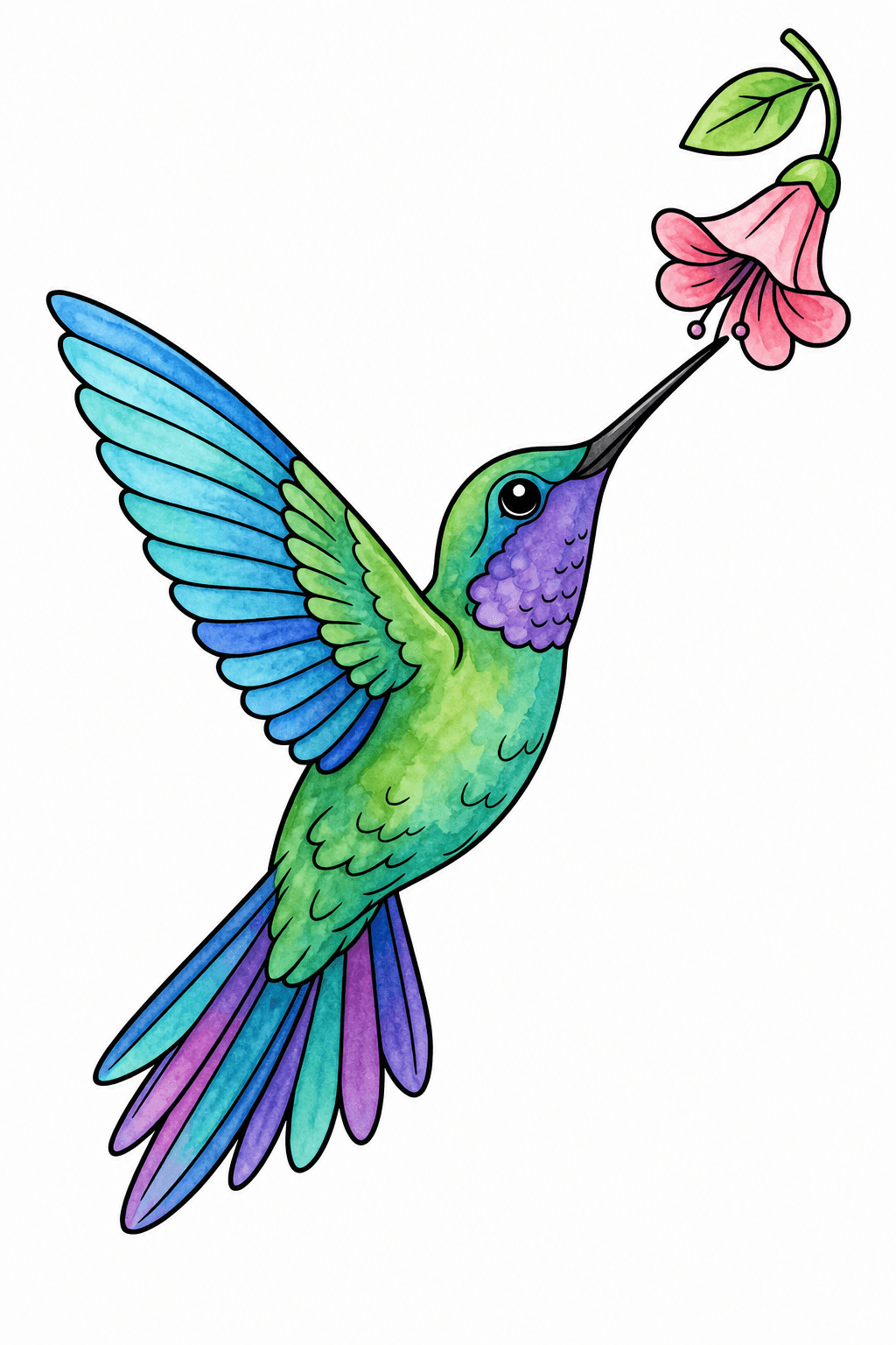 Hummingbird Sipping From a Hanging Flower watercolor colorized preview